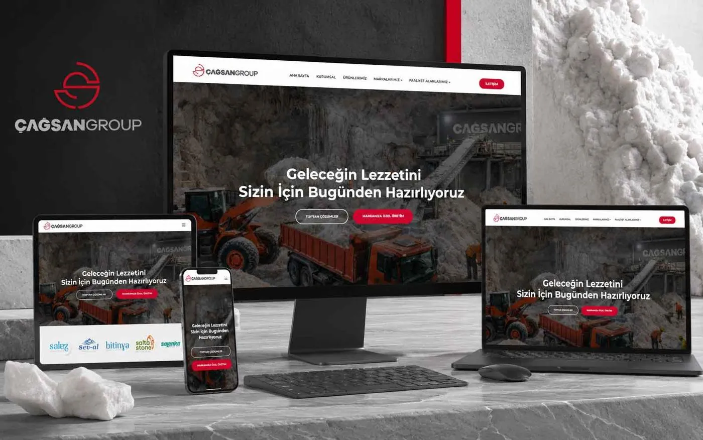 Çağsan Group: Web & identity